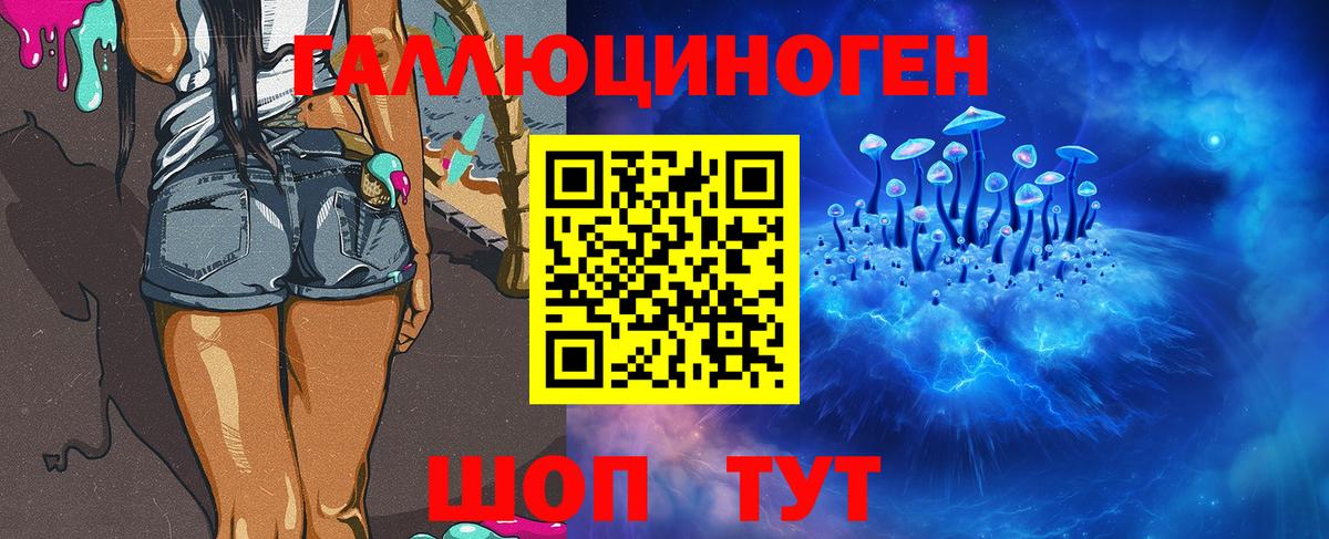Галлюциногенные грибы Cubensis Губкинский