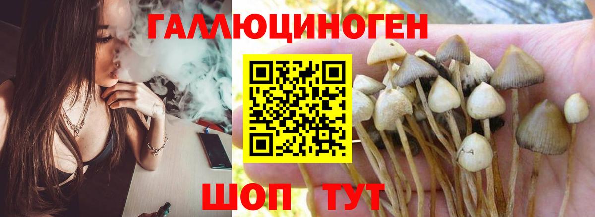 Губкинский  Галлюциногенные грибы мухоморы  Галлюциногенные грибы Cubensis  Вход с VPN 